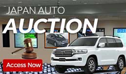 Auction Banner